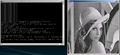 Thumbnail for version as of 03:33, 29 October 2010